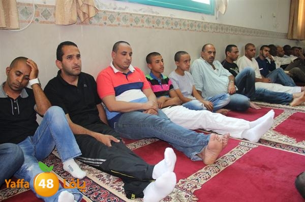 mayef abo ganem 0524 (13).JPG